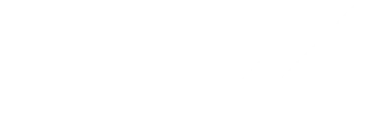 LexX Logo